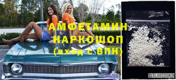 индика Арсеньев