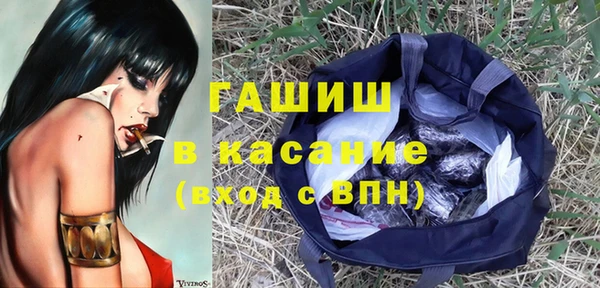 индика Арсеньев