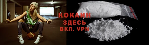 индика Арсеньев