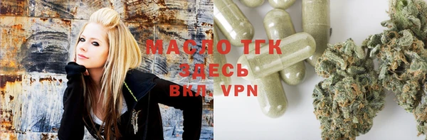 индика Арсеньев