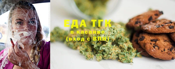 индика Арсеньев